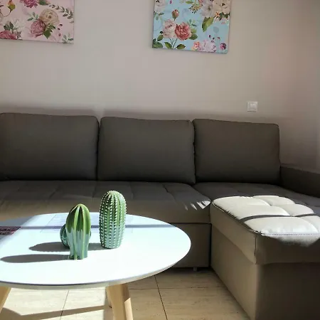 Apartman Javicenter Arrecife